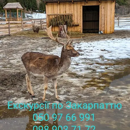 Zatishok Bilya Richky