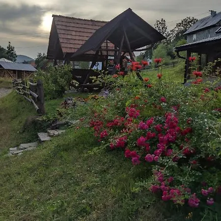 Zatishok Bilya Richky Pilipets