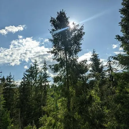 Lodge Zatishok Bilya Richky Pilipets