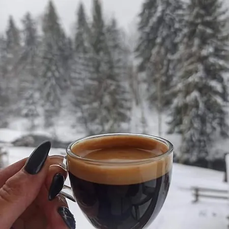 Zatishok Bilya Richky *