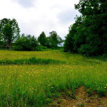 Zatishok Bilya Richky Lodge