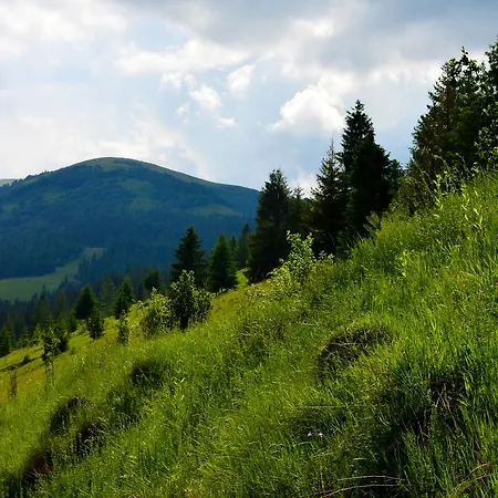 Lodge Zatishok Bilya Richky Pilipets