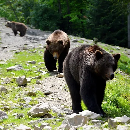 Lodge Zatishok Bilya Richky Pilipets