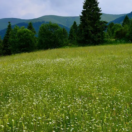 Zatishok Bilya Richky Pilipets