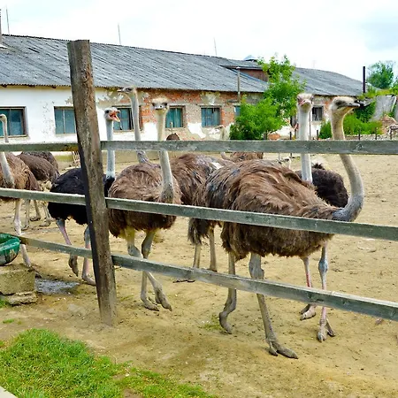 Zatishok Bilya Richky Lodge *