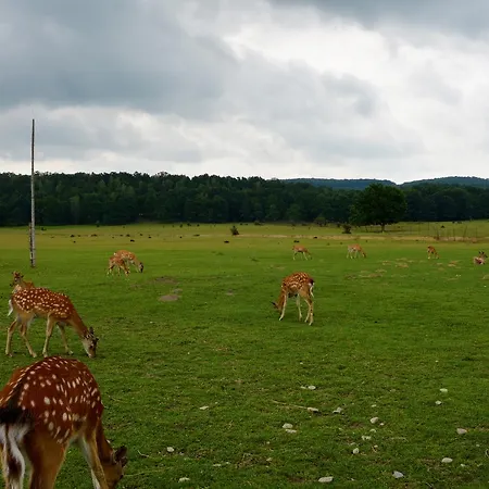 Zatishok Bilya Richky