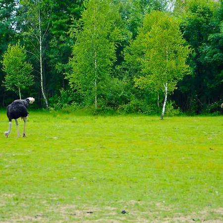 Lodge Zatishok Bilya Richky