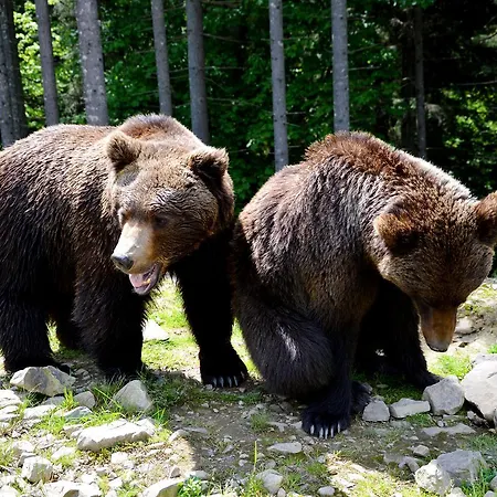 Lodge Zatishok Bilya Richky Pilipets