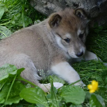 Zatishok Bilya Richky