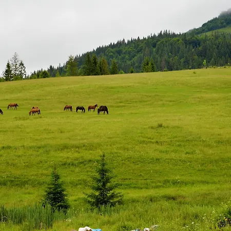 Zatishok Bilya Richky Lodge *