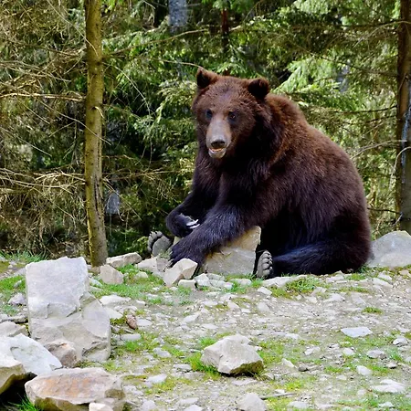 Zatishok Bilya Richky *