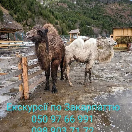 Zatishok Bilya Richky * Pilipets