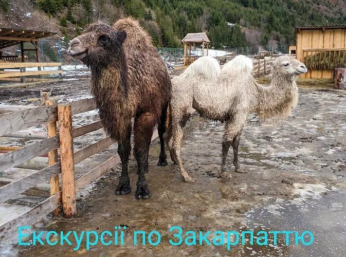 Zatishok Bilya Richky * Pilipets