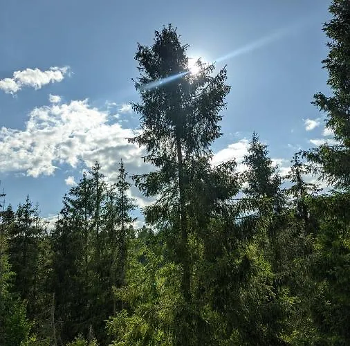 Lodge Zatishok Bilya Richky Pilipets